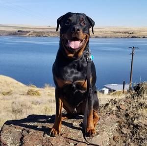 Meet your Posher, Omar